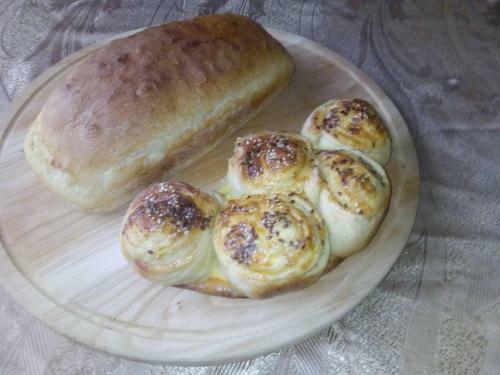 Apartamento ?umska Idila Rakovac