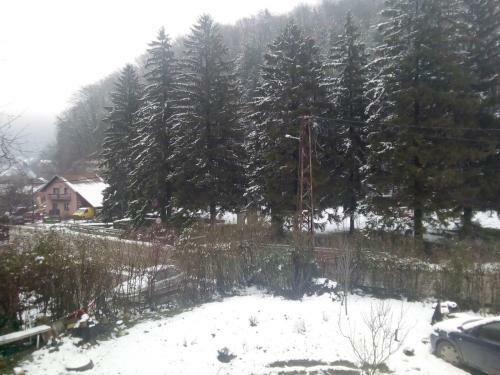 Apartamento ?umska Idila Rakovac