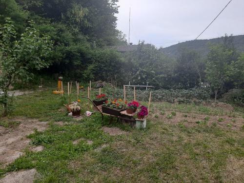 Apartamento ?umska Idila Rakovac