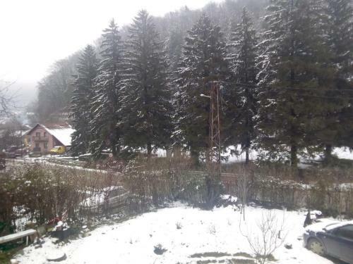 Apartamento ?umska Idila Rakovac