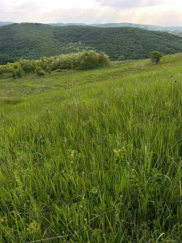 Apartamento ?umska Idila Rakovac