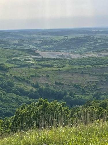 Apartamento ?umska Idila Rakovac