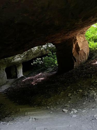 Apartamento ?umska Idila Rakovac