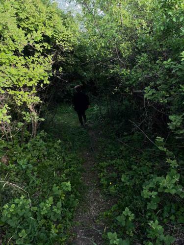 Apartamento ?umska Idila Rakovac