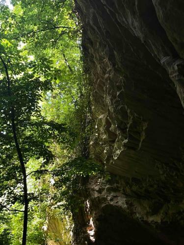 Apartamento ?umska Idila Rakovac