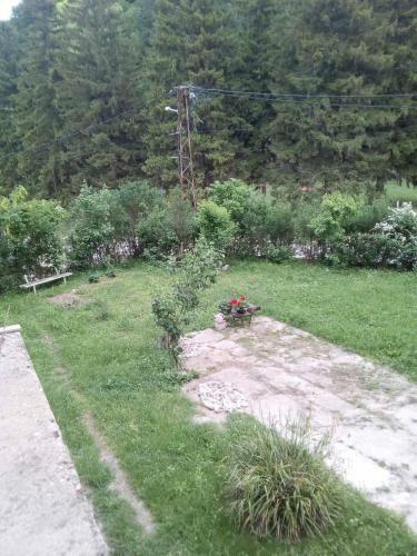 Apartamento ?umska Idila Rakovac