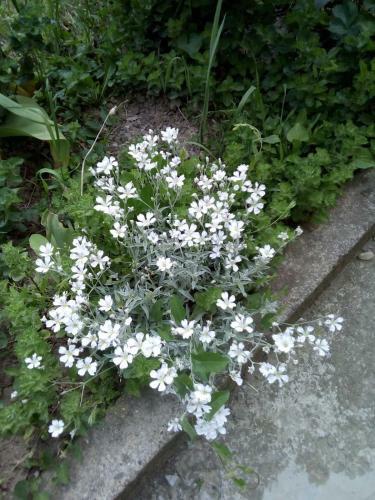 Apartamento ?umska Idila Rakovac