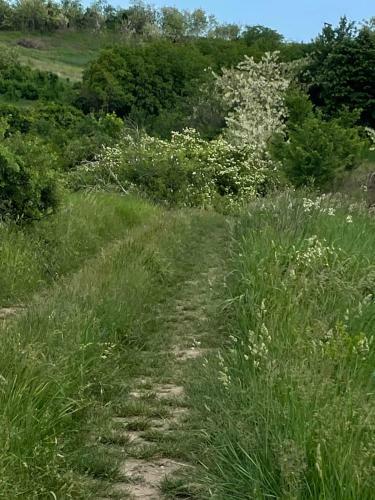 Apartamento ?umska Idila Rakovac