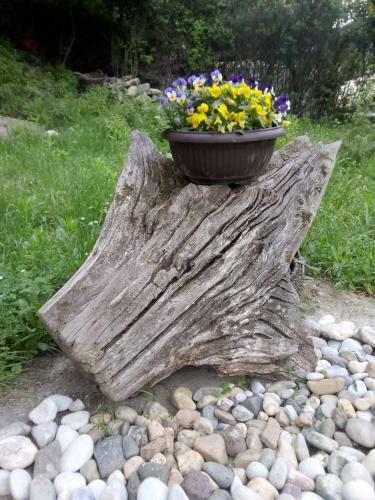 Apartamento ?umska Idila Rakovac