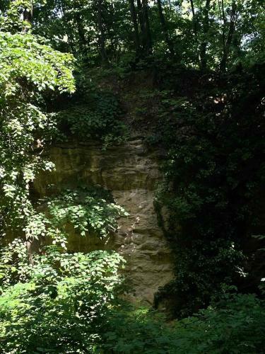 Apartamento ?umska Idila Rakovac