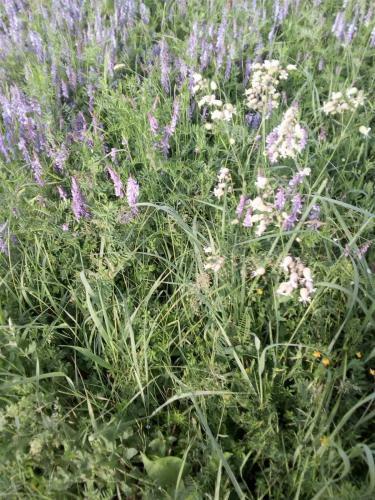 Apartamento ?umska Idila Rakovac