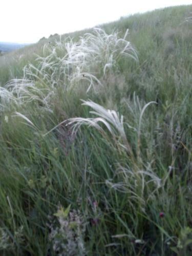 Apartamento ?umska Idila Rakovac