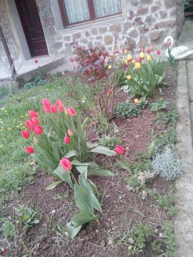 Apartamento ?umska Idila Rakovac