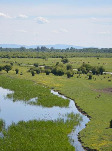 Buzzoffski Cabins _mirka_