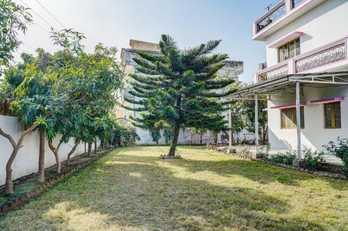 Hostal Oyo 78707 Pink House