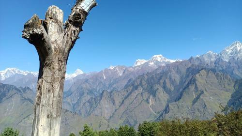 Morning Glory Camping And Trekking