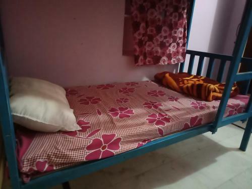 Bed & Breakfast Art Bliss Cafe Jaisalmer
