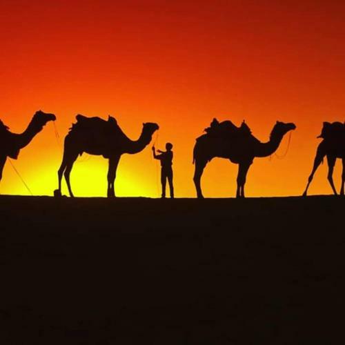Hotel Mehar Desert Resort