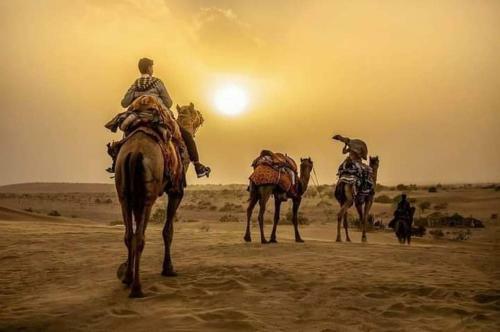 Hotel Mehar Desert Resort
