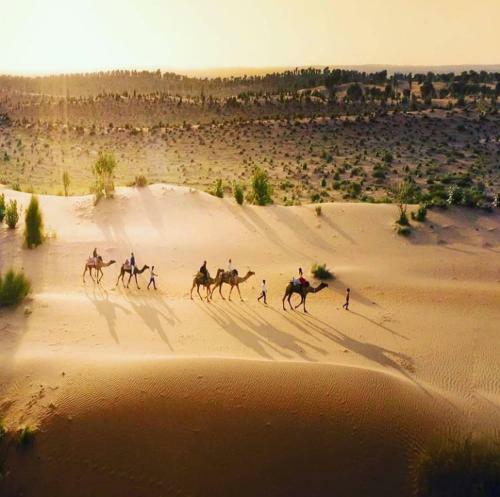 Apartamento Jannat Desert Safari