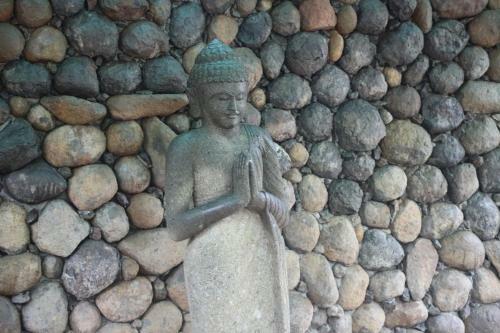 Hotel Brown Town Resort & Spa