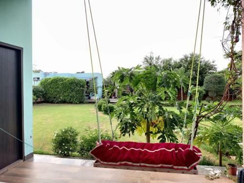 Madhuban Farms