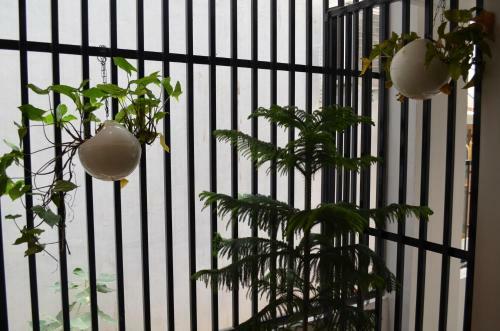 Villa Pushpanjali - The Boutique Stay
