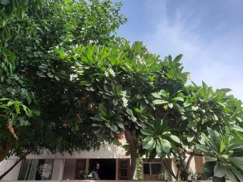 Hotel Mukam, Boutique Homestay
