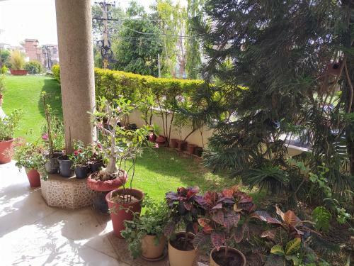 Villa Happy Homestay