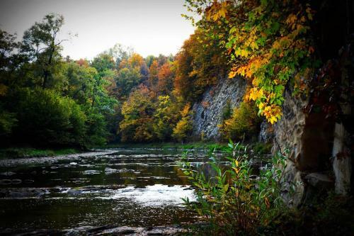 Lodge Trzy Domki W Bieszczadach