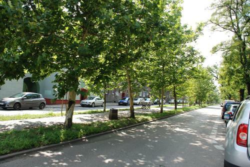 Apartament Kraszewskiego