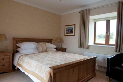 Hostal The Harp At Letterston