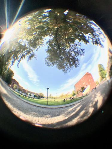 Apartamenty D?uga 6
