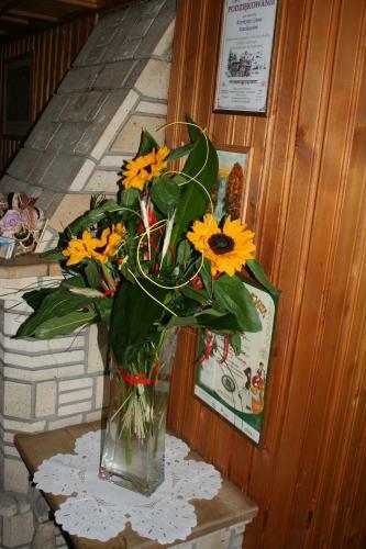 Bed & Breakfast Dom Wczasowy Krystyna