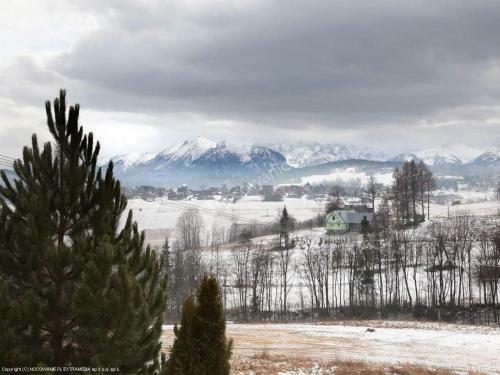 Agrotatry U Stachy