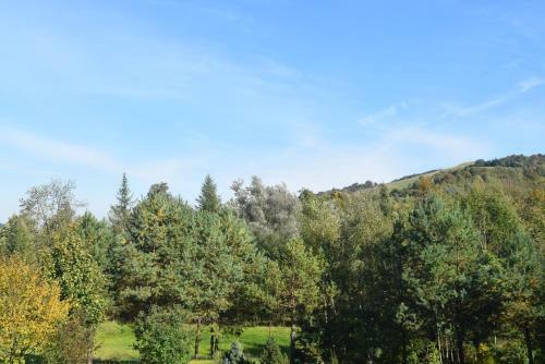 Agroturismo Apartamenty Pod Werchowyn?
