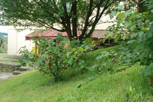 Agroturismo Apartamenty Pod Werchowyn?