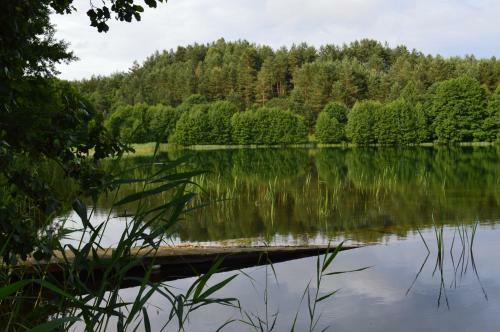 Lodge Siedlisko Ciemno