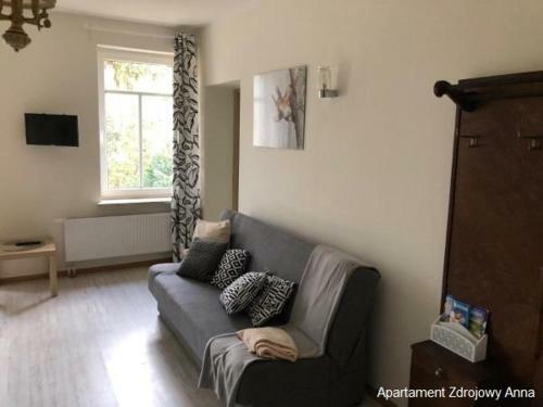 Apartamenty Zdrojowe