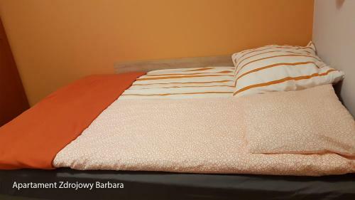 Apartamenty Zdrojowe