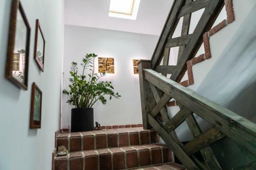 Bed & Breakfast Cisna Chata