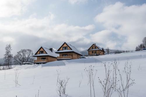 Lodge Krzywy Zak?tek