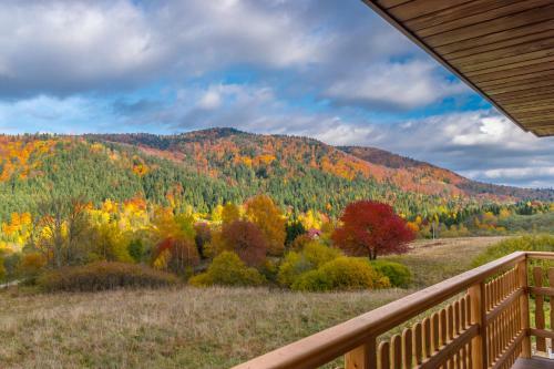 Lodge Krzywy Zak?tek