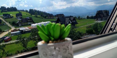 Pokoje I Apartament U Lucyny