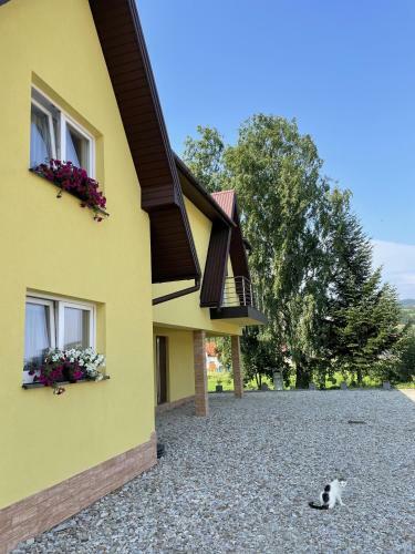 Hostal Pokoje Pod Brz�zk?