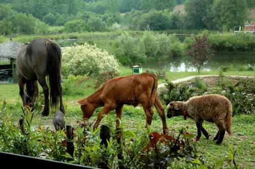 Agroturismo Wodne Ogrody