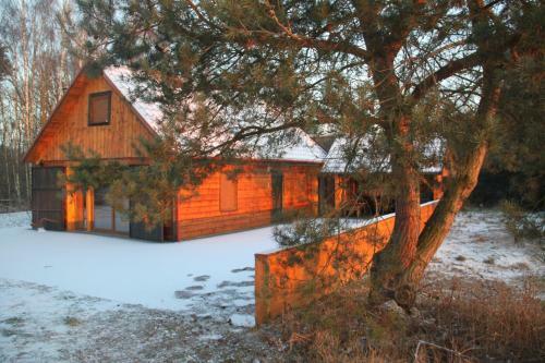Lodge Winnica D?bog�ra
