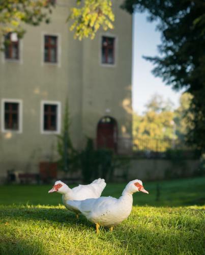 Apartamento Zamek Dobroszyce