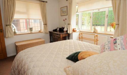 Apartamentos Hopewell Self-catering