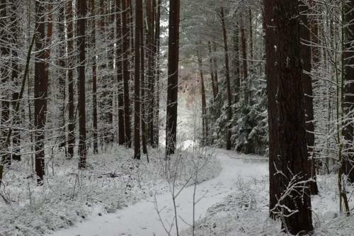 Apartament Rodzinny Jantar Park